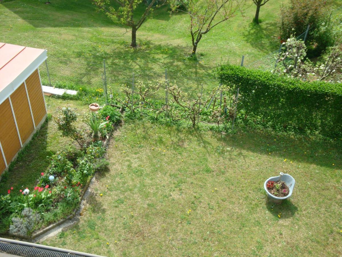 Haus Camelia Bed & Breakfast บัด ทัทซ์มันน์สดอร์ฟ ภายนอก รูปภาพ