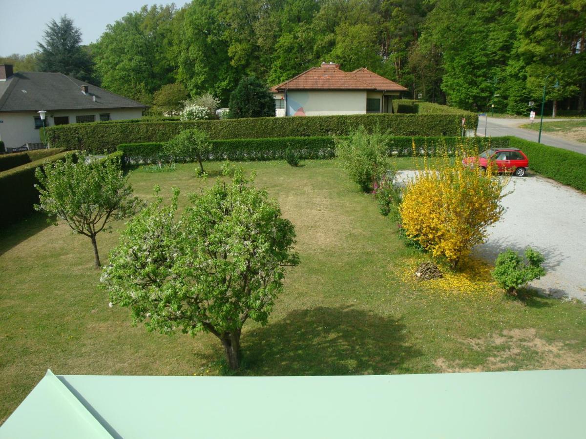 Haus Camelia Bed & Breakfast บัด ทัทซ์มันน์สดอร์ฟ ภายนอก รูปภาพ