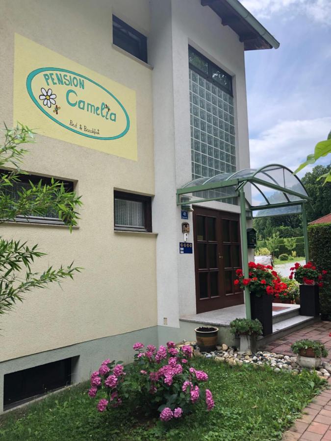 Haus Camelia Bed & Breakfast บัด ทัทซ์มันน์สดอร์ฟ ภายนอก รูปภาพ